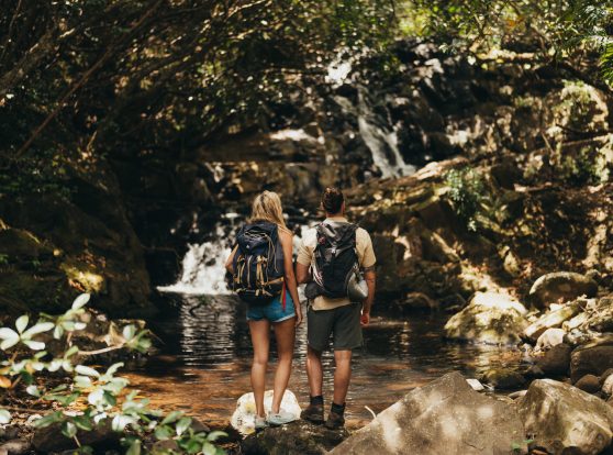 Explore Mauritius Now