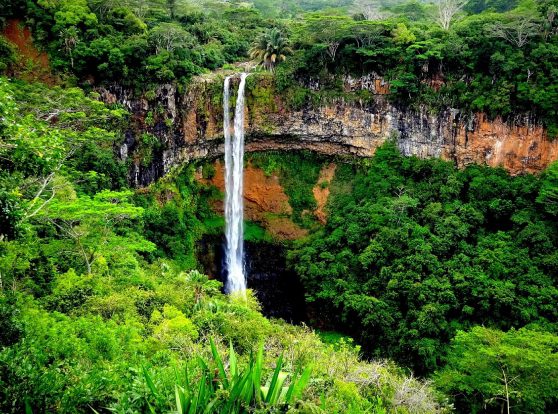 Black River Gorges: rainforest energy and valley lookouts