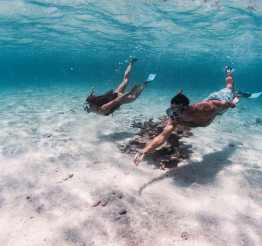 Snorkelling in Mauritius: Calm, Colourful and Easy to Enjoy**
